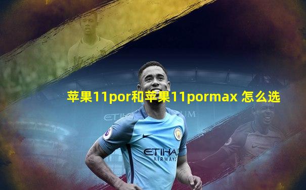 苹果11por和苹果11pormax 怎么选